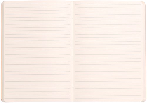 Notitieboek Rhodia A5 lijn 80 vel 90gr saliegroen-2