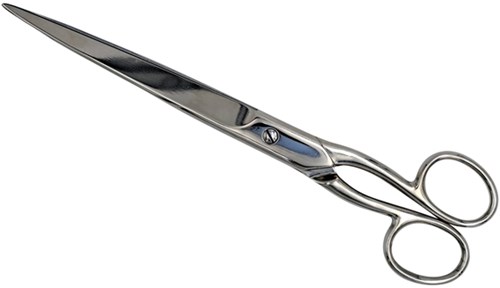 Schaar 250mm roestvrijstaal rechts- en linkshandig-2