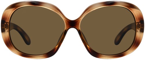 Zonnebril Montana met bruin gepolariseerd glas glans demi