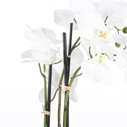 Kunstplant Mica Phalaenopsis orchideeën wit in plastic pot 79x51cm-2