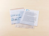 Insteekmap A4 PP 140Âµ generfd 100 stuks Oxford-2