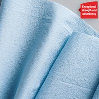 Poetsrol WypAll L20 2-laags 32 5cmx190m 500vel blauw 7301-1