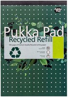 Schrijfblok A4 lijn 4-gaats 100 vel 80gr Pukka Pad Recycled