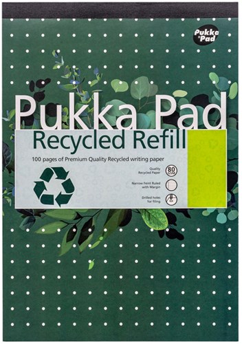 Schrijfblok A4 lijn 4-gaats 100 vel 80gr Pukka Pad Recycled