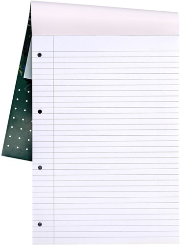 Schrijfblok A4 lijn 4-gaats 100 vel 80gr Pukka Pad Recycled-2