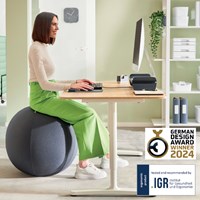Actieve zitbal Leitz Ergo 55cm anti-rol donkergrijs-6