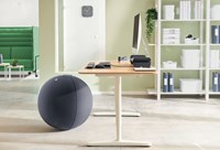 Actieve zitbal Leitz Ergo 55cm anti-rol donkergrijs-8