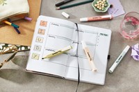 Markeerstift STABILO SWING COOL naturecolor  warm grey (grijs)-3