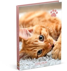 Schoolagenda 25-26 Lannoo Cats 1dag/1pagina roze
