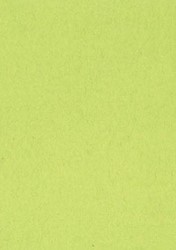 Gekleurd tekenpapier lichtgroen