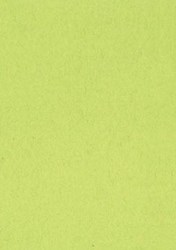 Gekleurd tekenpapier lichtgroen