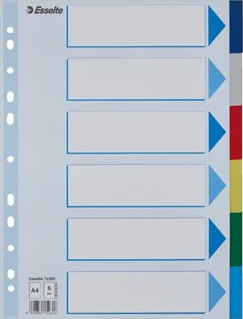 Esselte tabbladen 6 tabs