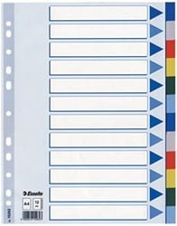 Esselte tabbladen 12 tabs