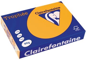Gekleurd papier  A4  80 g  500 vel  goudgeel Clairefontaine Trophée Pastel