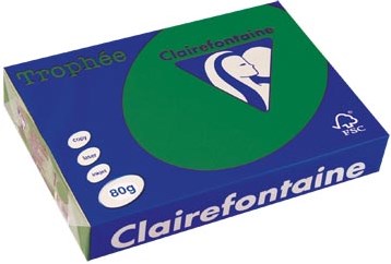 Clairefontaine Trophée Intens gekleurd papier A4 80 g 500 vel dennegroen