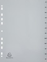 Tabbladen maanden januari-december A4 grijs plastic 12 tabs Exacompta-2