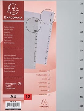Tabbladen maanden januari-december A4 grijs plastic 12 tabs Exacompta
