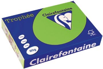 Gekleurd papier  A4  80 g  500 vel  muntgroen Clairefontaine Trophée Intens