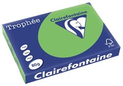 Gekleurd papier  A3  80 g  500 vel  muntgroen Clairefontaine Trophée Intens