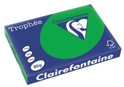 Gekleurd papier A3 biljartgroen 80gr 500 vel Clairefontaine Trophée Intens