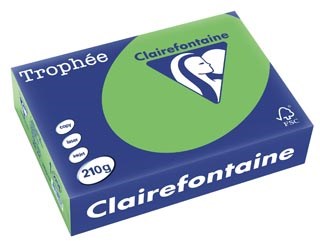 Gekleurd papier  A4  210 g  250 vel  grasgroen Clairefontaine Trophée Intens