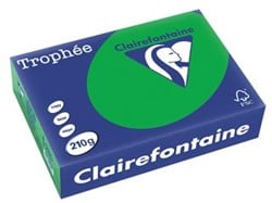 Gekleurd papier  A4  210 g  250 vel  bijartgroen Clairefontaine Trophée Intens