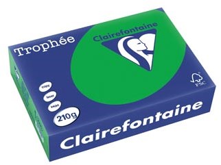 Gekleurd papier A4 210 gram biljartgroen