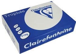 Gekleurd papier  A4  210 g  250 vel  lichtgrijs Clairefontaine Trophée Pastel