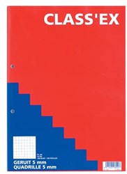 Class'ex cursusblok geruit 5 mm