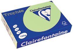 Gekleurd papier groen A4 160 g 250 vel Clairefontaine Trophée Pastel