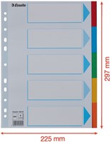 Tabbladen Esselte A4 11R karton 5-delig met voorblad-1