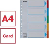 Tabbladen Esselte A4 11R karton 5-delig met voorblad-2