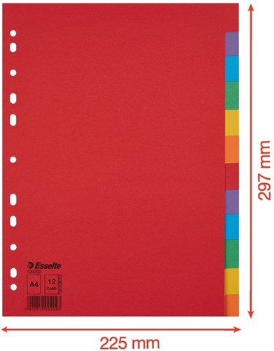 Esselte tabbladen Economy 12 tabs-2