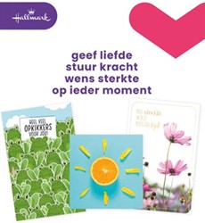 Hallmark navulset wenskaarten beterschap/sterkte pak van 12 stuks
