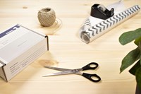 Schaar Westcott Buro 180mm RVS met kunststof grip-2