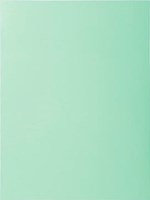 Vouwmappen Exacompta Jura zachtgroen-2