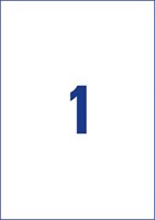 Avery etiketten 210 x 297mm 1 etiket per vel-3