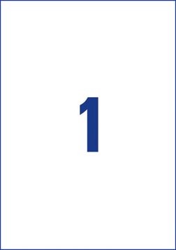 Avery etiketten 210 x 297mm 1 etiket per vel-3