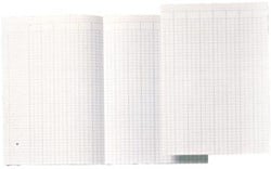 Jalema Accountantspapier 29,4 x 20,7 cm opengevouwen tot 29,4 x 41,4 cm