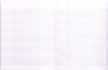 Clairefontaine schrift Mimesys voor A4+ 96 bladzijden kaft in PP seyès transparant-2