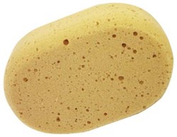 Aqualine ovalen spons 20 x 14 x 7 cm
