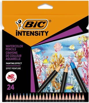 Bic aquarelpotlood Intensity etui van 24 stuks-2