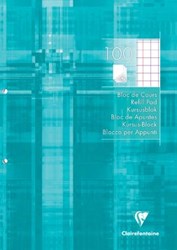 Clairefontaine cursusblok geruit 10 mm met kantlijn