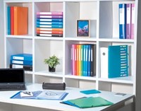 Exacompta elastobox rug van 2,5 cm geassorteerde kleuren-3