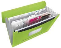 Esselte sorteermap Vivida kunststof 6 vakken groen