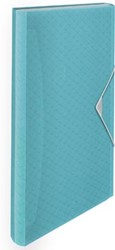 Esselte Colour'Breeze voorordner 6 vakken blauw
