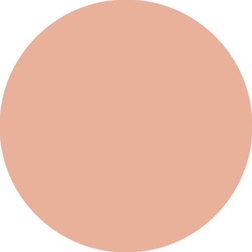 Stabilo fineliner Point 88 abrikoos-3