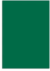 Magneetvel MAUL 200x300mm groen