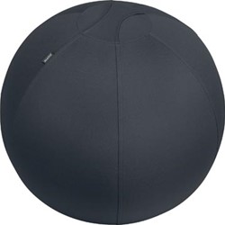 Zitbal kantoor anti-rol 65 cm grijs Leitz Ergo