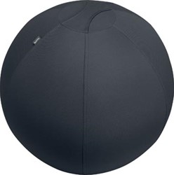 Zitbal kantoor anti-rol 75 cm grijs Leitz Ergo